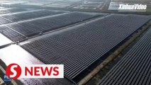 Hubei Tianmen: A perfect integration of solar energy and fish production