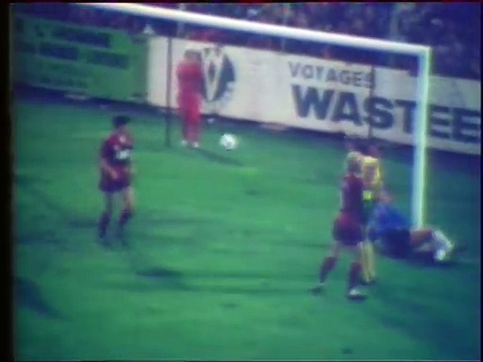 CHAMPIONNAT  DE  FRANCE  - 1977  - SAISON  1977/1978 -