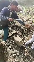 latest neemuch hindi news video