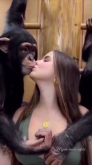 The lucky monkey kisses the girl, very funny