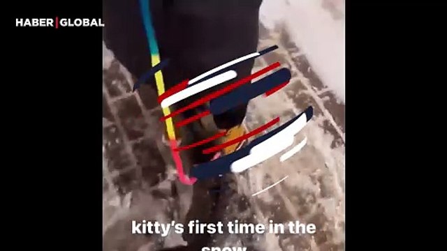 İlk defa kar gören kedinin tepkisi güldürdü: Sahibinin montuna girdi içinden çıktı