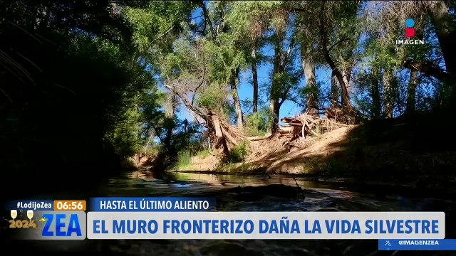 El muro fronterizo afecta el libre transito para la vida silvestre