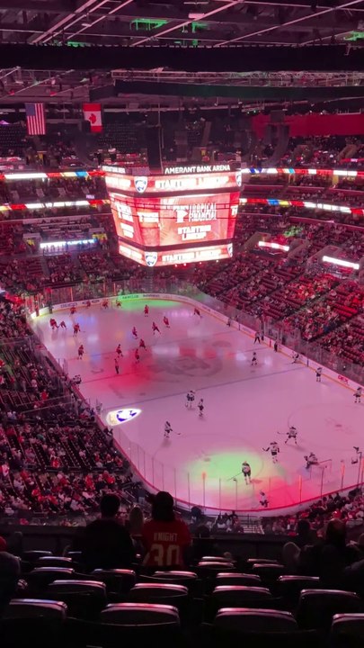 Florida Panthers