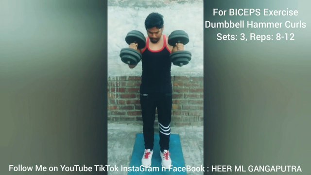❌ DUMBBELL HAMMER CURLS ✔️ Best BICEPS Exercise