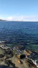 البحر ونقأئه هذه الأيام