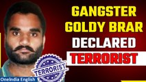Sidhu Moosewala case: Goldy Brar designated as terrorist, India issues official statement | Oneindia