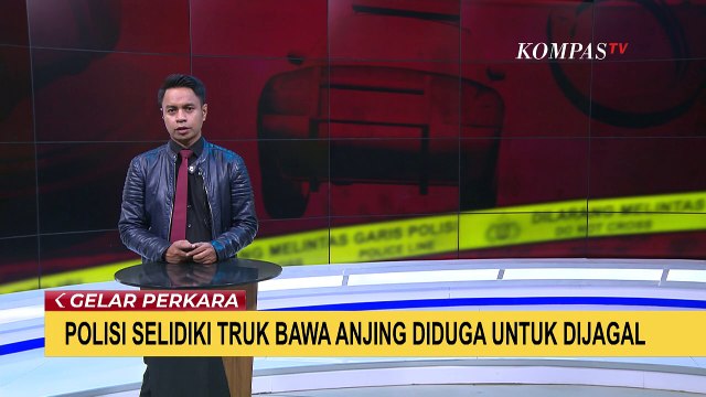 Truk Angkut Ratusan Anjing, Dicurigai Hendak ke Rumah Jagal untuk Dikonsumsi!
