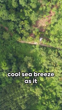 India's Island Paradise: Top Pick #trending #ocean #viral #india #nature #indian #shorts #short