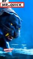 Black_panther,Lion,Wolf,_Tiger_fight