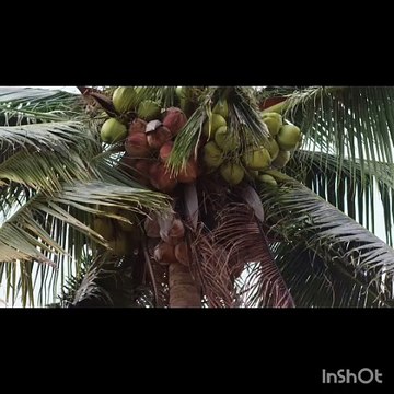 THAI BL SERIES (2022) Episode 5 part 2 THAI BL DRAMA UNCUT VERSION