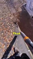 random facts about girls #randomfacts #randomcuriosities