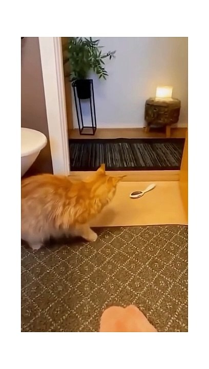 watch till end 