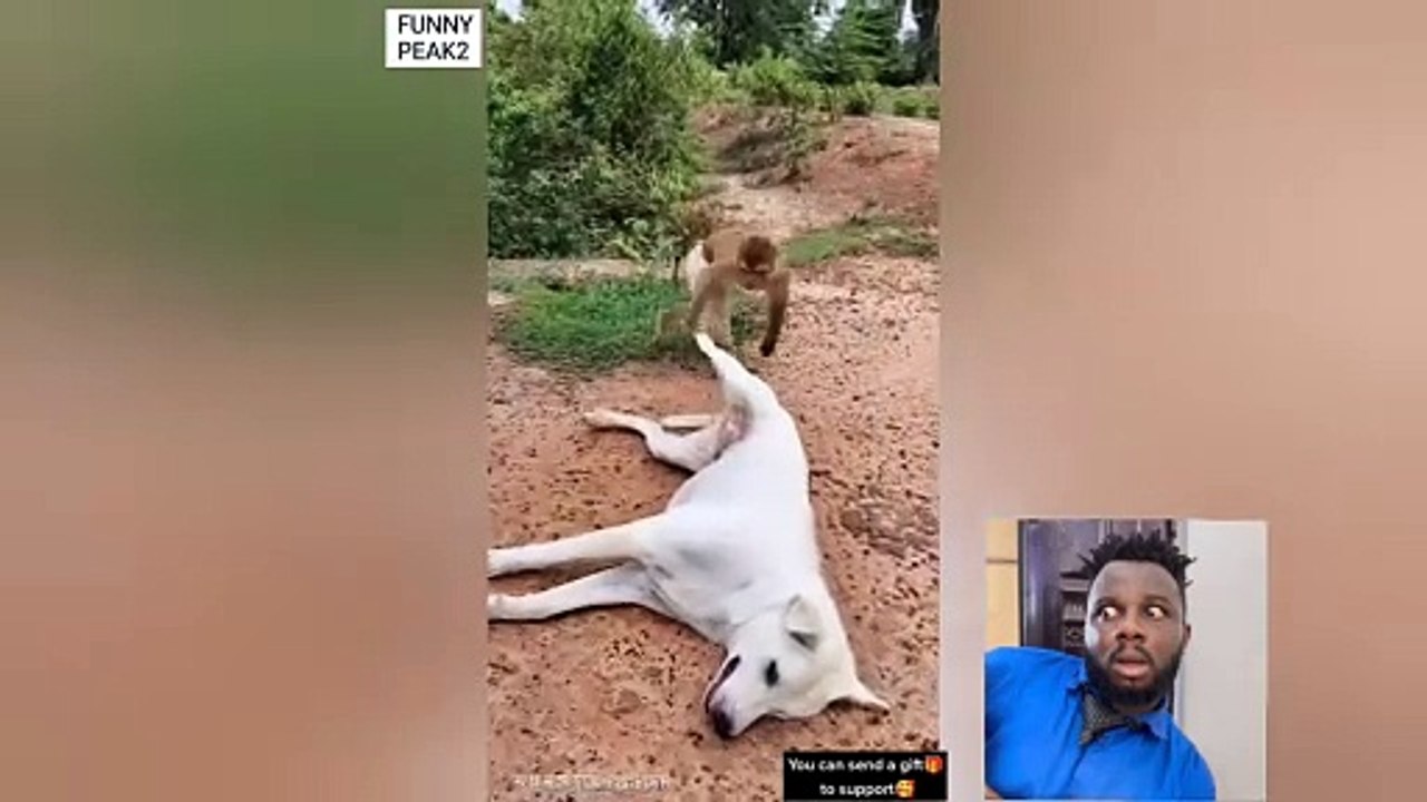 Have you ever seen this
