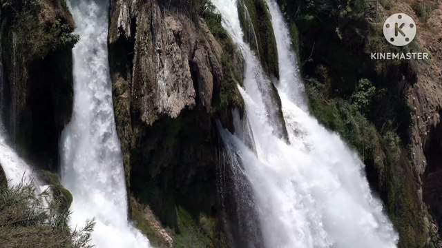 Surah Al Kafirun, Surat-ul-kafirun, Islamic videos bubak learn quran, surah, Tilawat