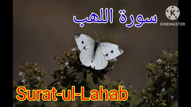 Surah Al Lahab, Surah Al Ikhlaas, Surah, ayaat, Quran, Islamic videos, bubak learn quran.