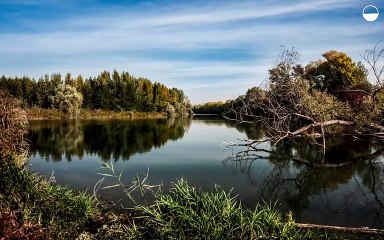 2 Relaxing Classical Music in 2 Minutes 🎶