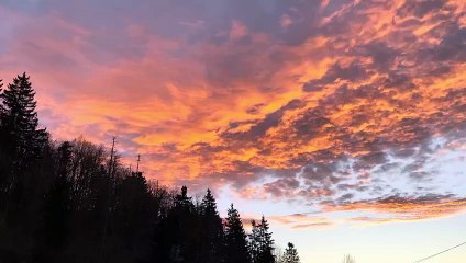 Start Your Day with Morning Abundance & Relaxing Classical Music ☀️