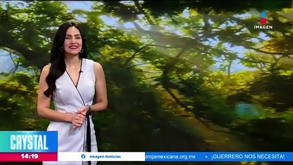 ¡Sismo sacude provincia de Japón!