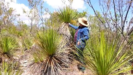 Las increíbles estampas del recuerdo - 2023 | Conexión Milenio