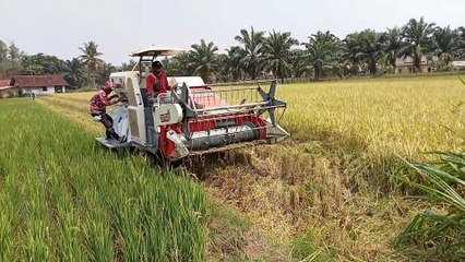 combine harvester MCH 2000 PJ STAR