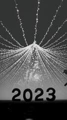 bonne année 2024 سنة سعيدة للكل