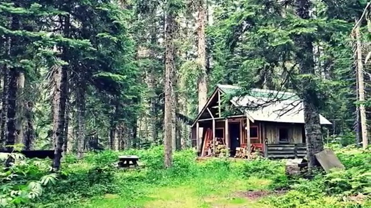 Boy Cuts Down Old Tree – What He Found Inside The Trunk Shocked The Whole World !