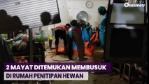 2 Mayat Wanita Ditemukan Membusuk di Rumah Penitipan Hewan, Diduga Korban Pembunuhan