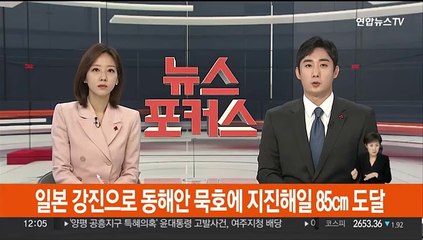 일본 강진으로 동해안 묵호에 지진해일 85㎝ 도달