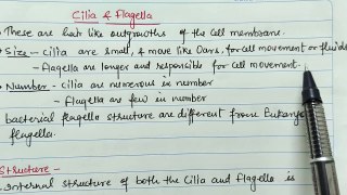 Cilia and Flagella Class 11