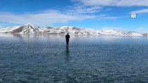 Ağrı'da Balık Gölü tamamen buz tuttu