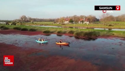 Kızılırmak Deltası kızıla büründü