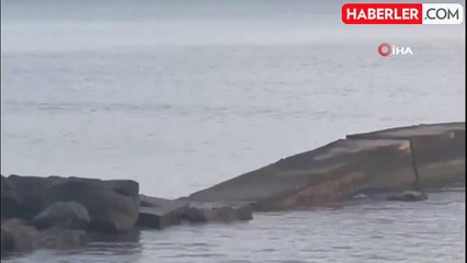 Karadeniz'de balık avlayan su samuru görüntülendi