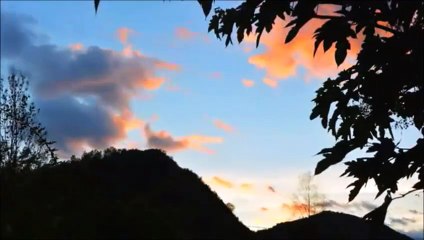 Il est trop tard - The Coart Brothers