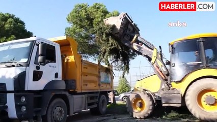 Nilüfer Belediyesi Budama Atıklarını Gübreye Dönüştürüyor