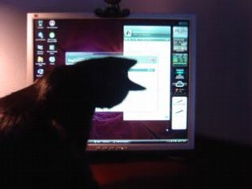 Vidéo de Viper - Devant l'Ecran Informatique