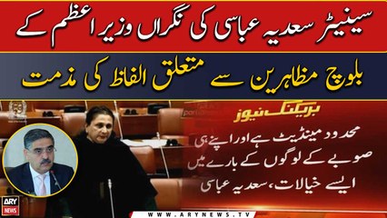 Senator Sadia Abbasi's condemns caretaker PM's words regarding Baloch protesters