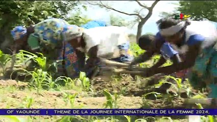 Magazine - Les Terrasses Agricoles Une Culture en Relief - 1er Janvier 2024