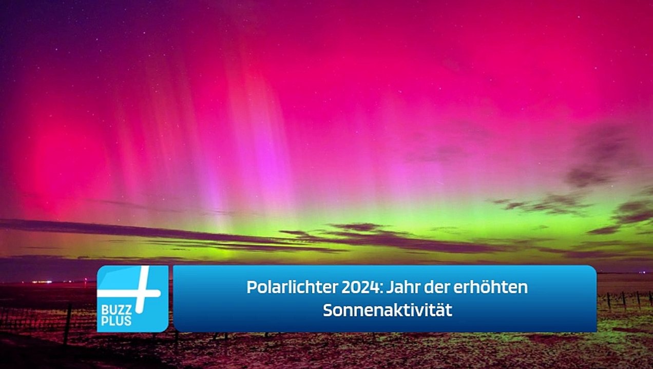 Polarlichter 2024: Jahr der erhöhten Sonnenaktivität