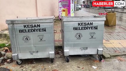 Keşan'da Çöp Konteynerinde Bulunan Yavru Köpekler Koruma Altına Alındı
