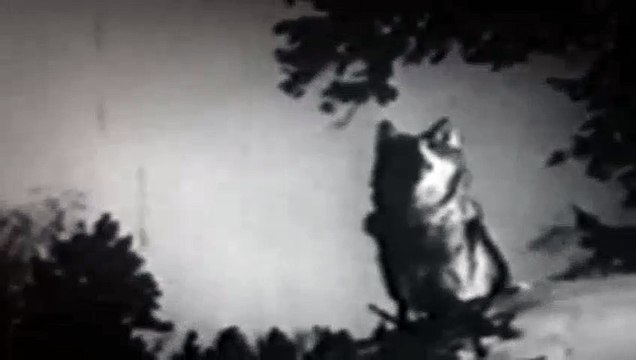 Doctor Who Season 1 Episode 24 The Keys Of Marinus Pt 4 The Snows Of Terror