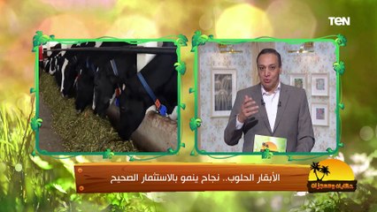 "مصدر مهم للطعام في حياتنا وصديقة للإنسان"... كل ما تريد معرفته عن البقر الحلوب من د. عماد الصديق