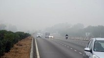 dence fog: अजमेर किशनगढ़ हाईवे पर घना कोहरा ...यह वीडियो जरूर देखें