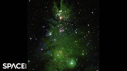 Amazing Christmas Tree Cluster In Space Captured By Multiple Observatories