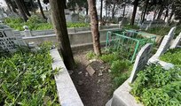 Kan donduran ihbar: Kardeşimizi döverek öldürdü... Yıllar sonra mezar yeri açılmıştı! İstenen ceza belli oldu