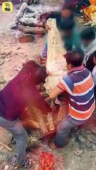 ज़िंदगी की कैसी फ़िक्र? || आचार्य प्रशांत