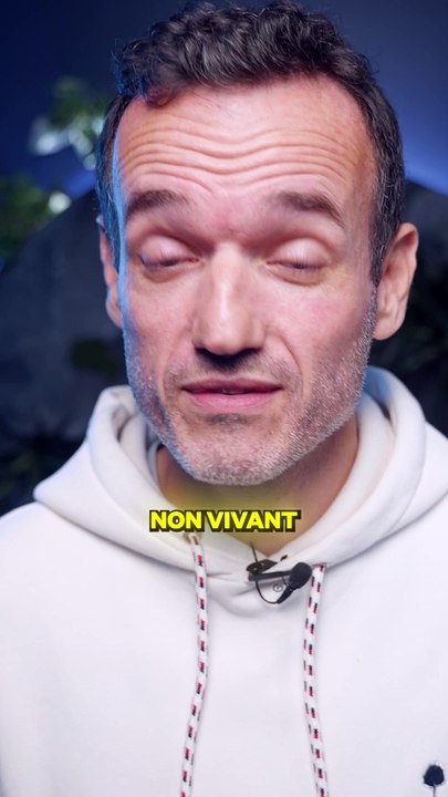 Test de votre cerveau droit