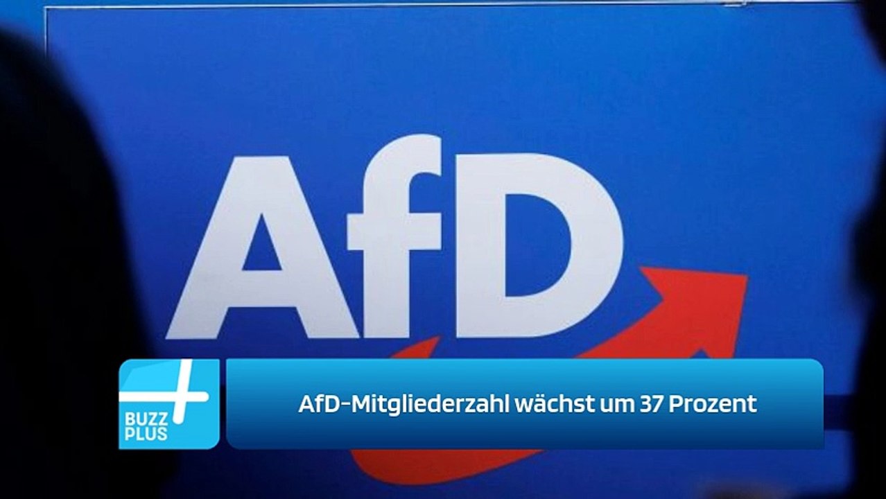 AfD-Mitgliederzahl wächst um 37 Prozent