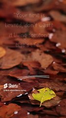 Matrix Motivation Snapshots_ Boost Your Drive#shortsvideo  #motivation #minute