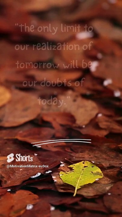 Matrix Mindshift_ Rapid Motivation Reminders#shorts video #minute