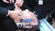 South Korean opposition leader stabbed in the neck on public visit